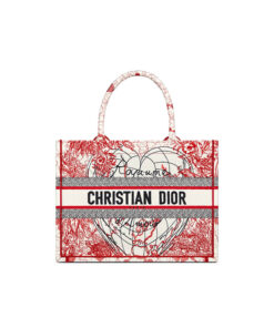 SMALL DIOR BOOK TOTE