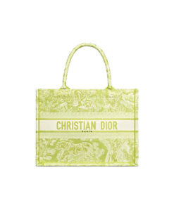 SMALL DIOR BOOK TOTE