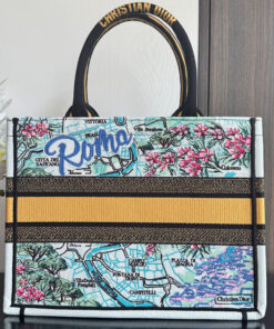 Dior Souvenir Medium Dior Book Tote