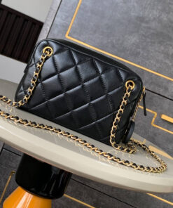 CHANEL Mini Camera Case