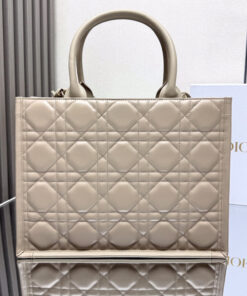 Dior Medium Dior Book Tote