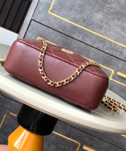 CHANEL Mini Camera Case