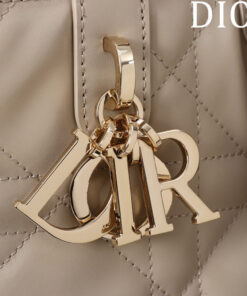 Small Dior Toujours Vertical Tote Bag(high-end grade)