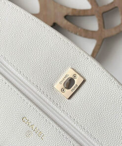 CHANEL Clutch With Chain(high-end grade)